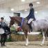 Jaeckle Center Shows
